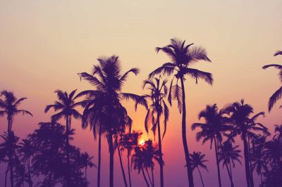 Stories of the Prophets: Exemplary Patience of Prophet Ayub (PBUH)
