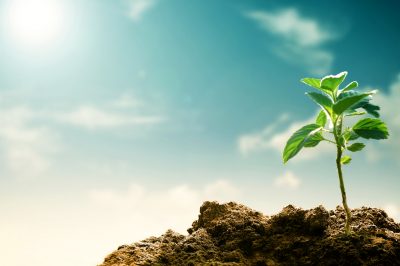 The Overflowing Cup... 3 Tips to Overcome Pessimism