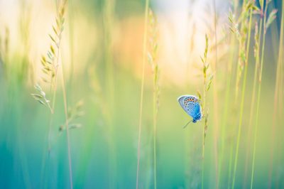 8 Life Lessons Bring Tranquility and Inner Peace