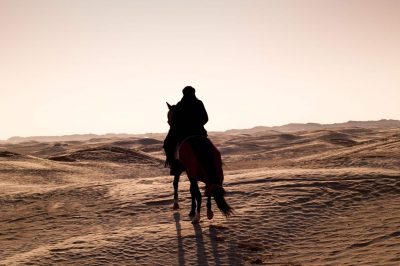 أمين هذه الامة ومكانته بين الخلفاء الراشدين