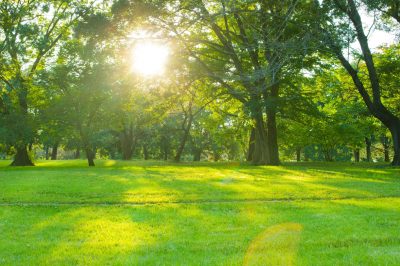5 Keys for Developing Islamic Habits of Success