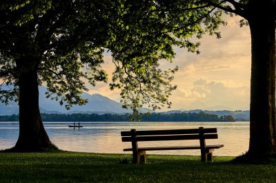 12 Steps for Peace Building Among Muslims