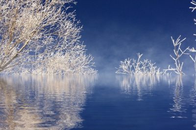 Tips for Healthy Winter - About Islam