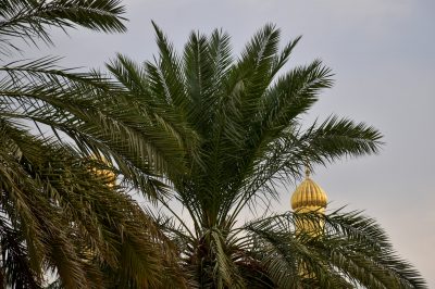 Islamophobia Meaning and Origins