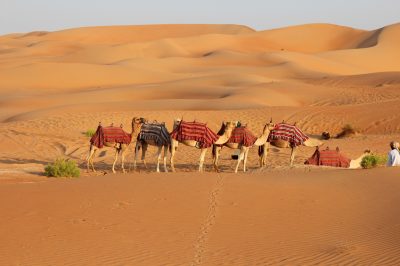 What Really Happened at the Badr Caravan