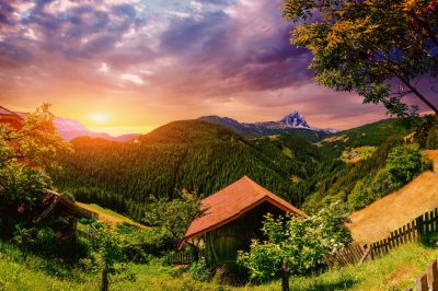 Prophet Muhammad - A Pioneer of the Environment
