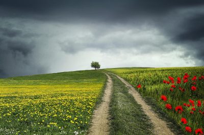 10 Conseils Que Luqman - Le Sage - A Donn&eacute; A Son Fils - About Islam
