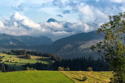 5 Conseils Qui M'ont Aid&eacute; A Me Connecter A Allah Dans La Pri&egrave;re