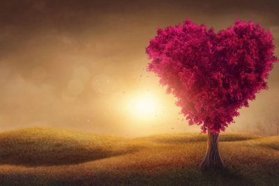 Healing Power of Negative Emotions