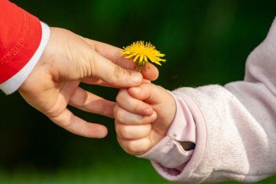 Building Traits for Loving Relationships: Gentleness
