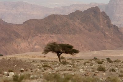 "We Have More Claim to Moses [Peace Be Upon Him]!" (Special) - About Islam