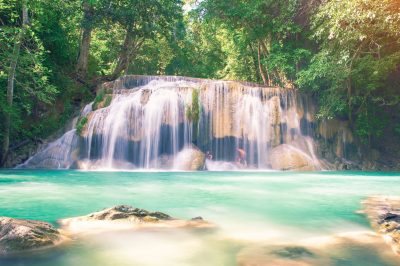 What is the Description of Paradise