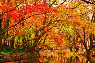 Is There an Islamic Humanism