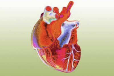 Sydney Islamic Medicine Conference to Tackle End-of-life, Organ Donation - About Islam