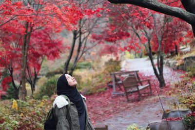 Dealing with Feelings of hatered towards parents