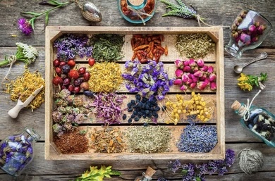 Aromatherapy: Enjoy the Gifts of Nature - About Islam